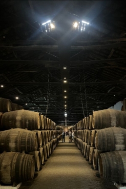 Taylor's Port